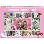 SCHM56135 1 Packshot gross