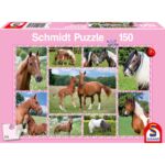 SCHM56269 1 Packshot