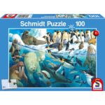 SCHM56295 1