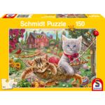 SCHM56289 1 Packshot