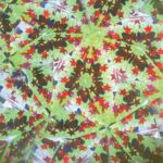AN23036 5 kaleidoskopio epoxes
