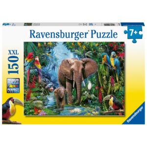 RAV12901 1 elefantes