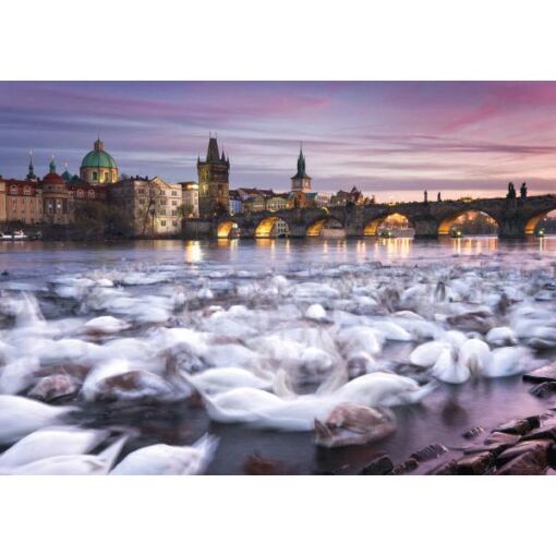 SCHM59695 2 christian ringer prague swans