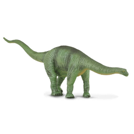CO88253 1 cetiosaurus