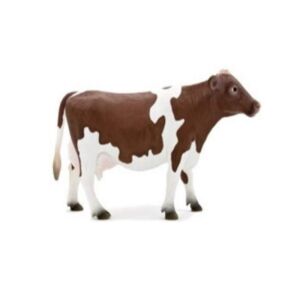 MO387102 1 red holstein cow large
