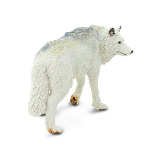 SAF220029 3 white wolf