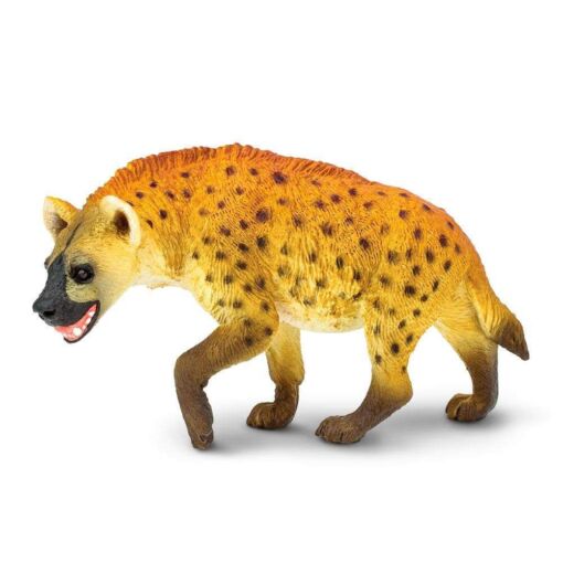 SAF222629 1 hyena