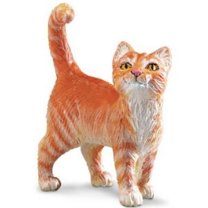 SAF235529 1 orange tabby cat