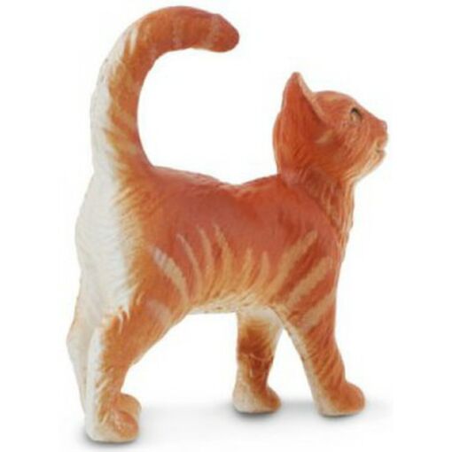 SAF235529 2 orange tabby cat