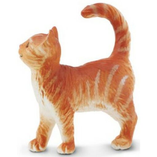 SAF235529 3 orange tabby cat