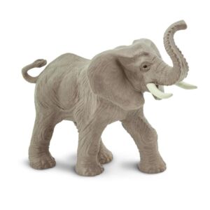 SAF238429 1 african elephant