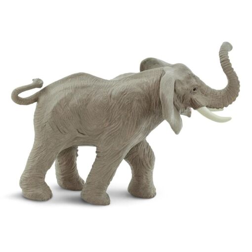 SAF238429 2 african elephant