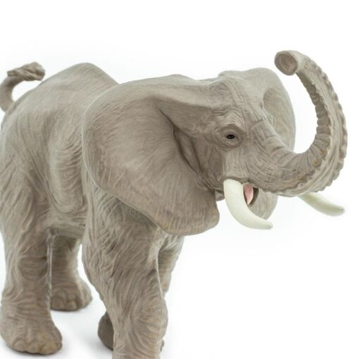 SAF238429 4 african elephant