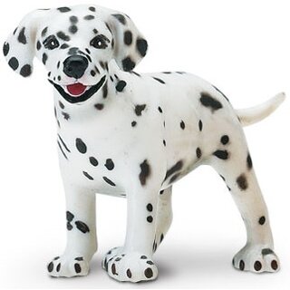 SAF239629 1 dalmatian puppy