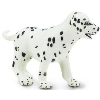 SAF239629 3 dalmatian puppy