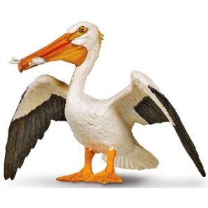 SAF241829 1 white pelican with fish