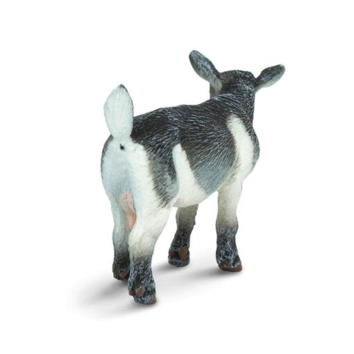 SAF245129 4 pygmy nanny goat