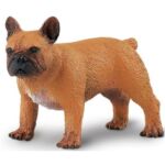 SAF254429 1 french bulldog