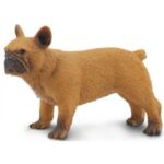 SAF254429 3 french bulldog