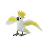 SAF263829 1 cockatoo