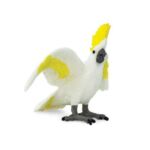 SAF263829 2 cockatoo