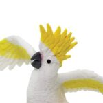 SAF263829 4 cockatoo