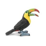 SAF264129 1 toucan