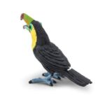 SAF264129 2 toucan