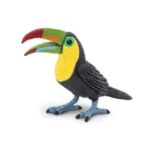 SAF264129 3 toucan