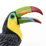 SAF264129 4 toucan