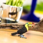 SAF264129 5 toucan