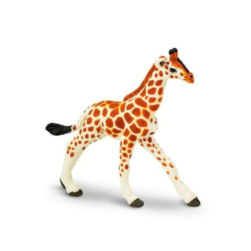 SAF268529 1 reticulated giraffe baby