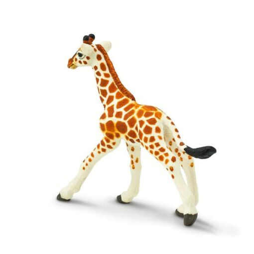 SAF268529 2 reticulated giraffe baby