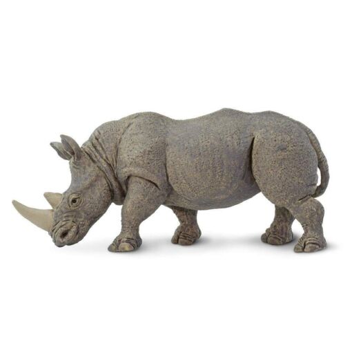 SAF270229 1 white rhino