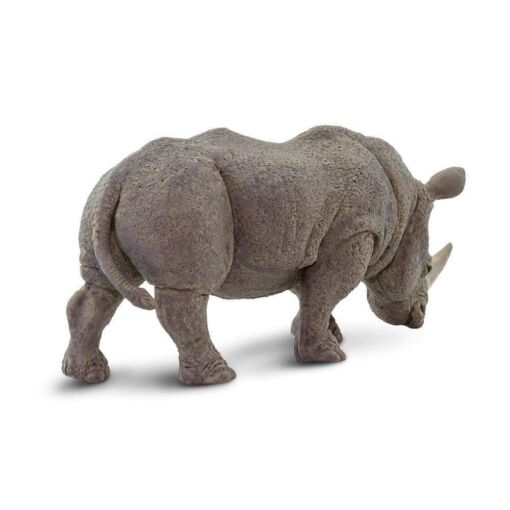 SAF270229 2 white rhino