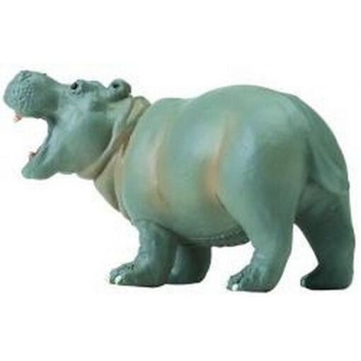 SAF270529 1 hippopotamus baby 1