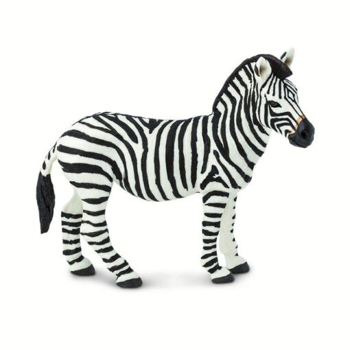 SAF271729 1 zebra
