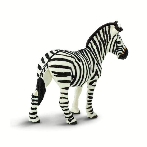 SAF271729 2 zebra