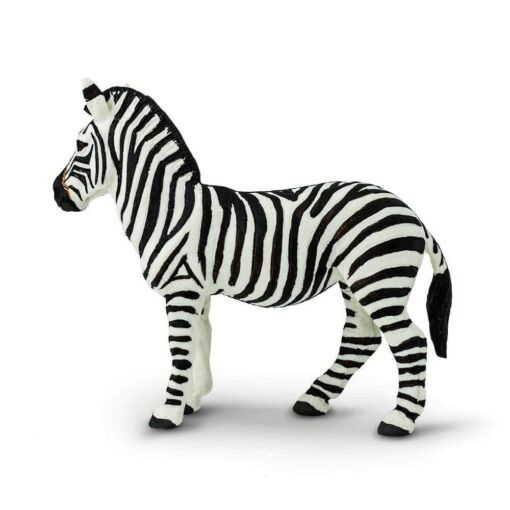 SAF271729 3 zebra
