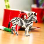 SAF271729 5 zebra