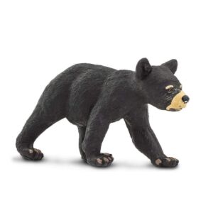 SAF273629 1 black bear cub