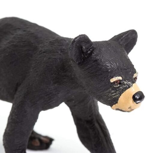 SAF273629 2 black bear cub