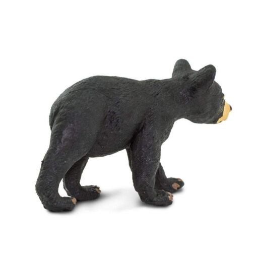SAF273629 3 black bear cub