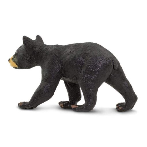 SAF273629 4 black bear cub