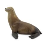 SAF274229 1 sea lion