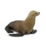 SAF274229 2 sea lion
