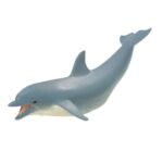 SAF275329 1 dolphin