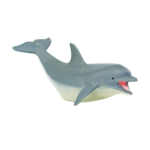 SAF275329 2 dolphin