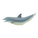 SAF275329 3 dolphin
