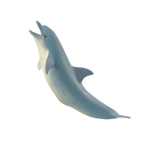 SAF275329 4 dolphin